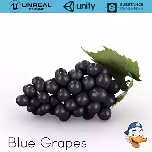 Blue Grapes