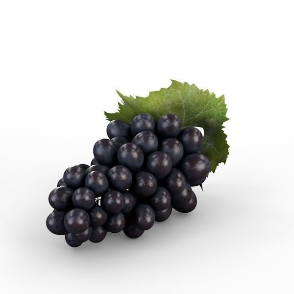 Blue Grapes 3D model_13