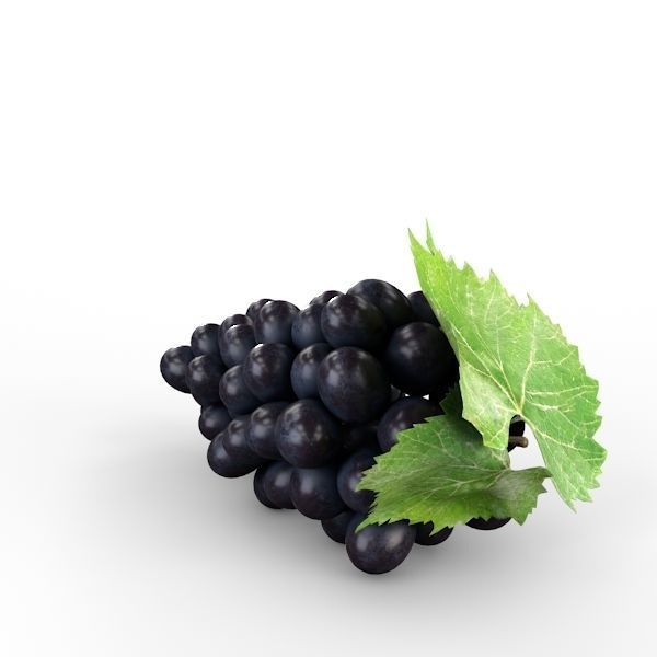 Blue Grapes 3D model_3