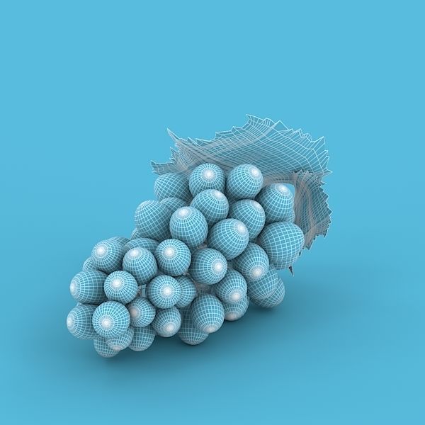 Blue Grapes 3D model_14