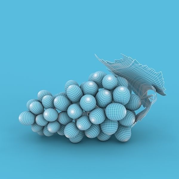 Blue Grapes 3D model_2