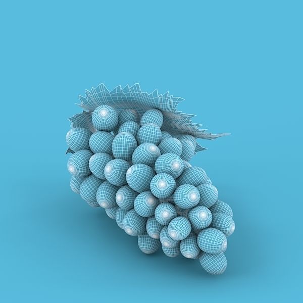 White Grapes 3D model_10