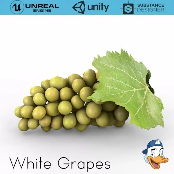 White Grapes 3D model_0