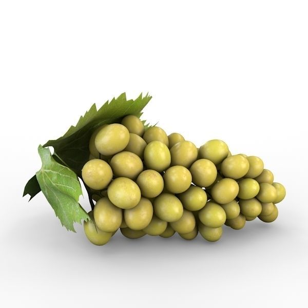 White Grapes 3D model_7
