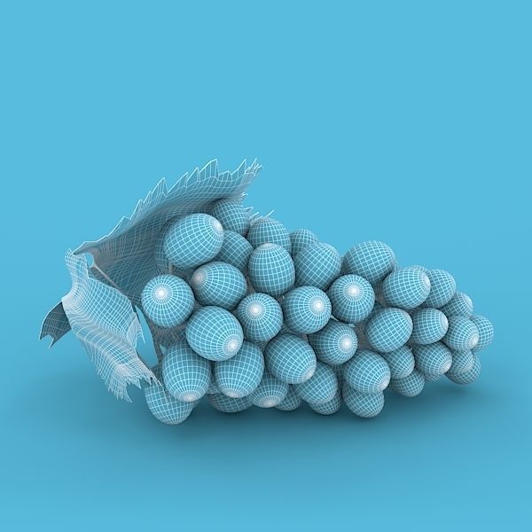 White Grapes 3D model_8