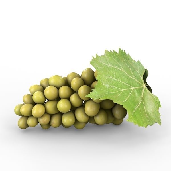 White Grapes 3D model_1