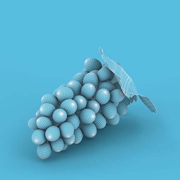 White Grapes 3D model_14