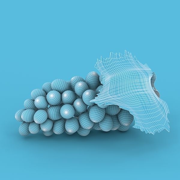 White Grapes 3D model_2