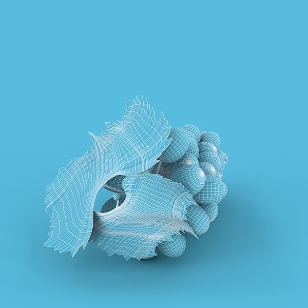 White Grapes 3D model_6