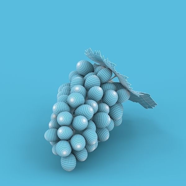 White Grapes 3D model_12
