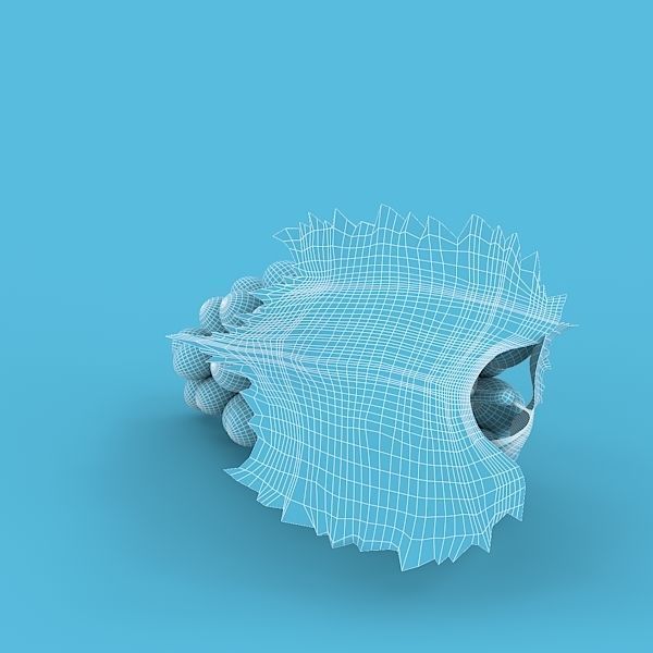 White Grapes 3D model_4