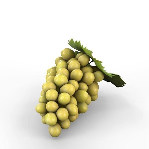 White Grapes 3D model_11