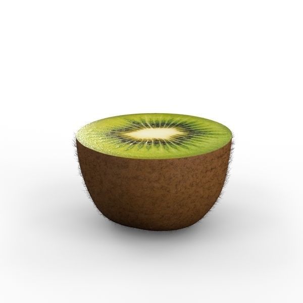Kiwi Fruit 3D model_3