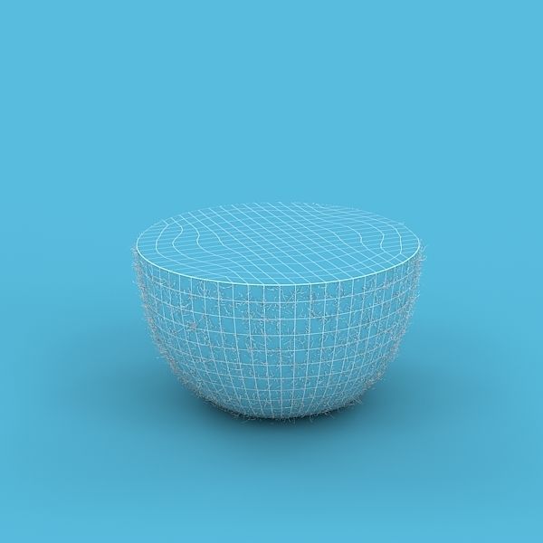 Kiwi Fruit 3D model_10