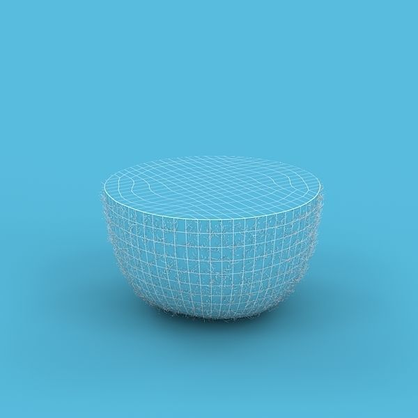 Kiwi Fruit 3D model_4