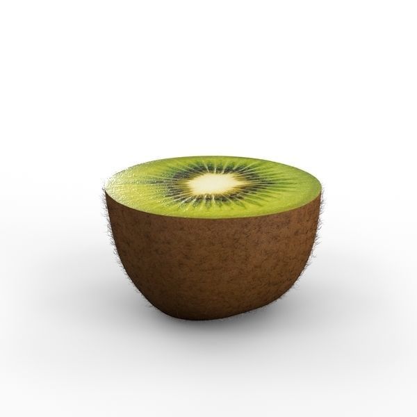 Kiwi Fruit 3D model_1