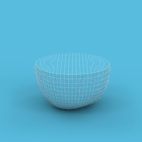 Kiwi Fruit 3D model_2