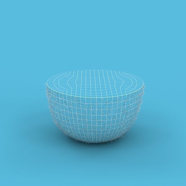 Kiwi Fruit 3D model_8