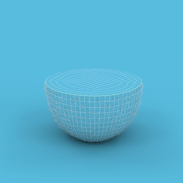 Kiwi Fruit 3D model_14