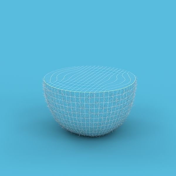 Kiwi Fruit 3D model_12