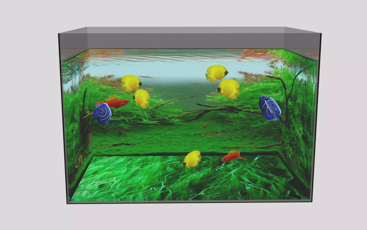 aquarium with fish in it Low-poly 3D model