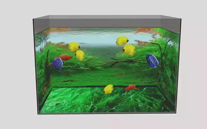 aquarium with fish in it Low-poly 3D model