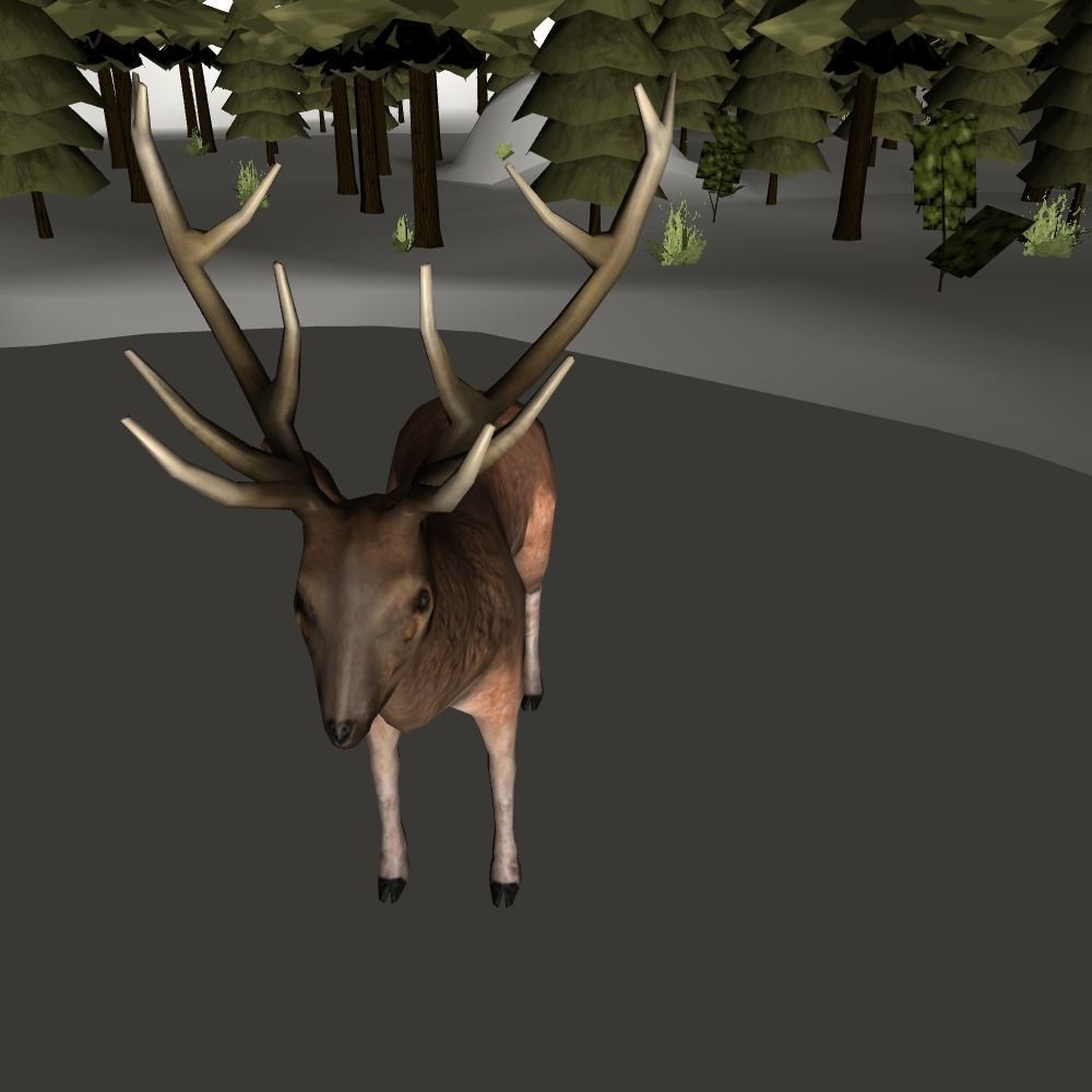 Wild boar and deer Low-poly 3D model_3