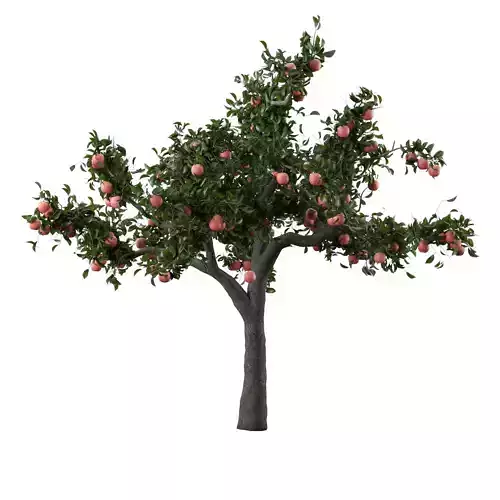 HD Apple Tree 3d model 3D model