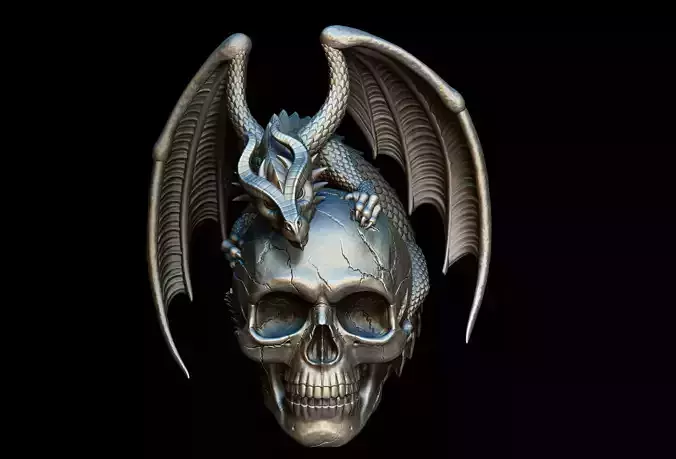 Dragon Skull 3D print model