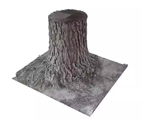 Pine Tree Trunk - Photogrammetry Scan Source