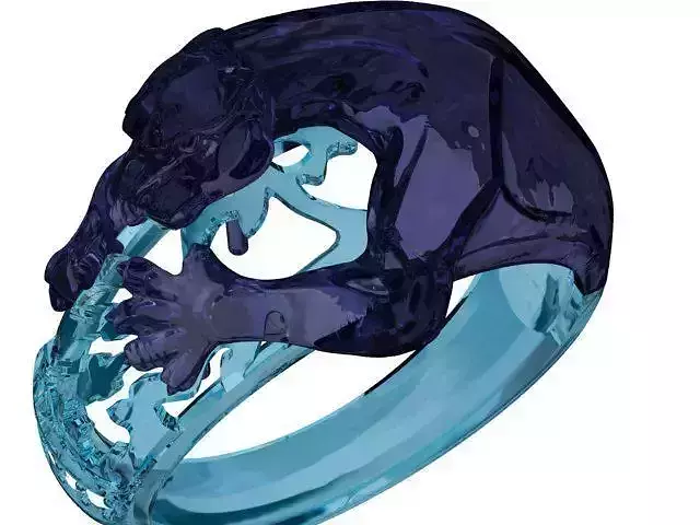 Jewlery panther ring