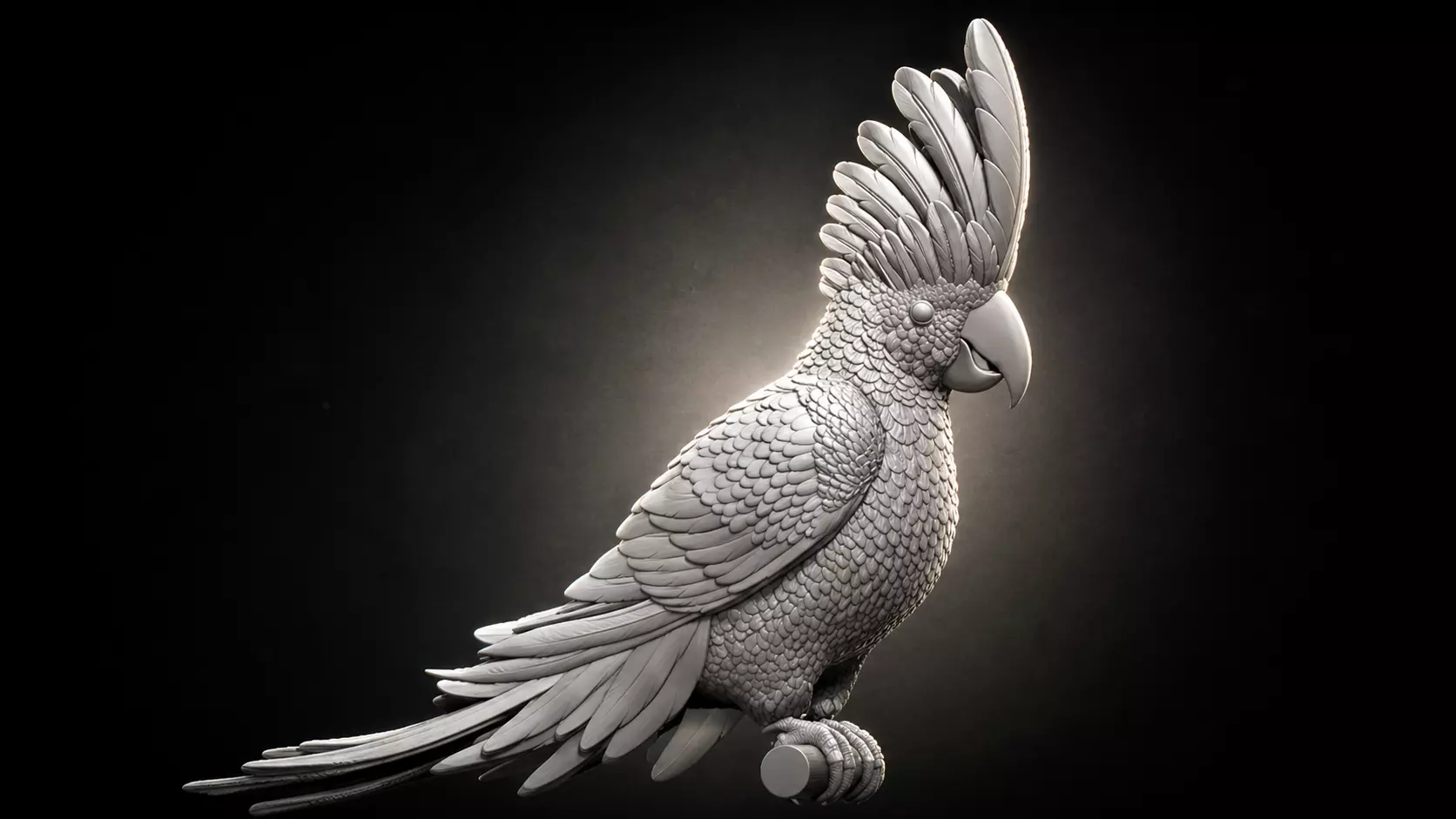 parrot cacadu 3D print model