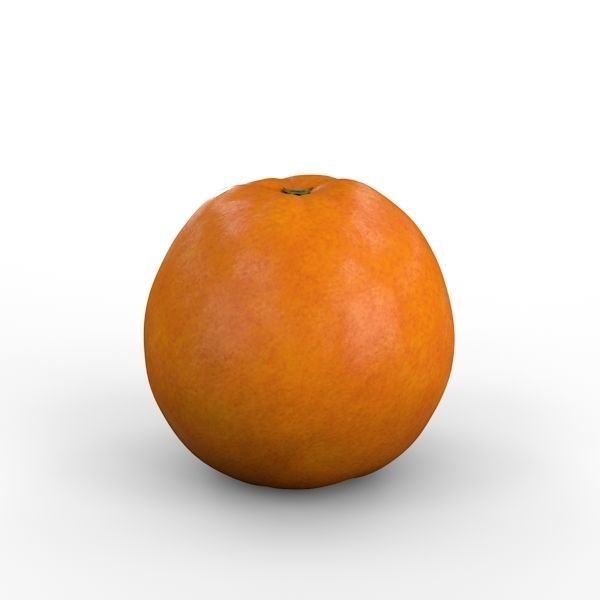 Orange 3D model_13