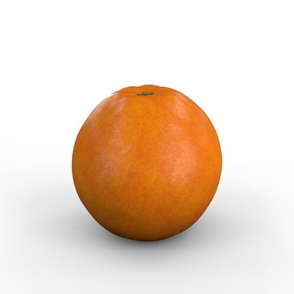 Orange 3D model_9