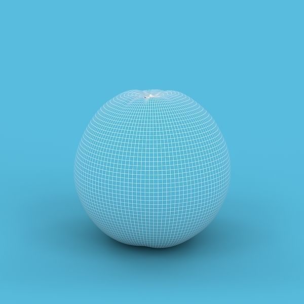 Orange 3D model_2