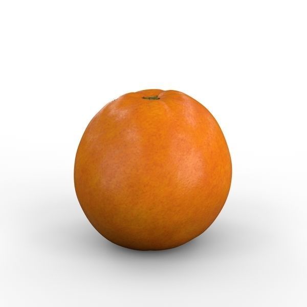 Orange 3D model_11