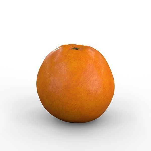 Orange 3D model_7