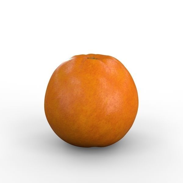 Orange 3D model_5