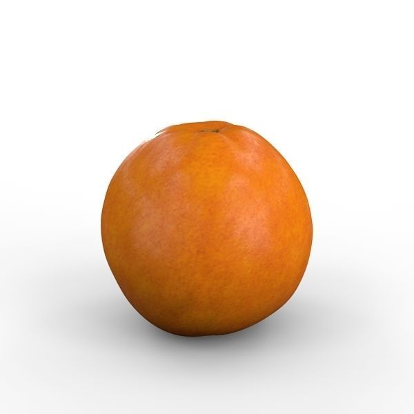 Orange 3D model_3