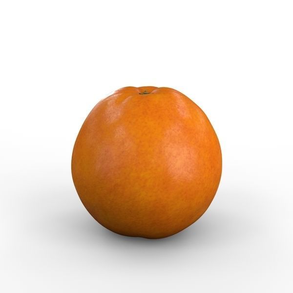 Orange 3D model_1