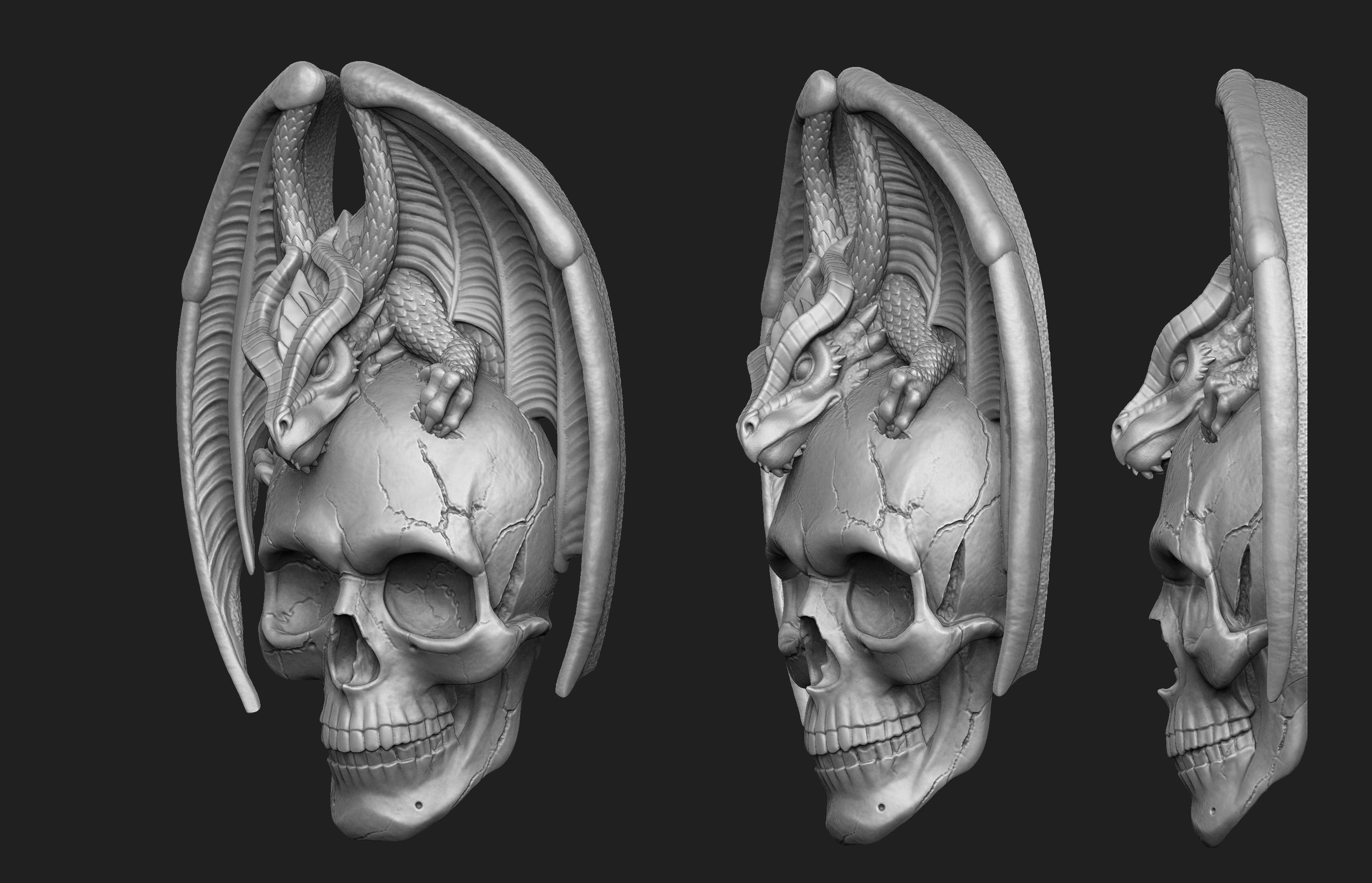 Dragon Skull Relief 3D print model_1