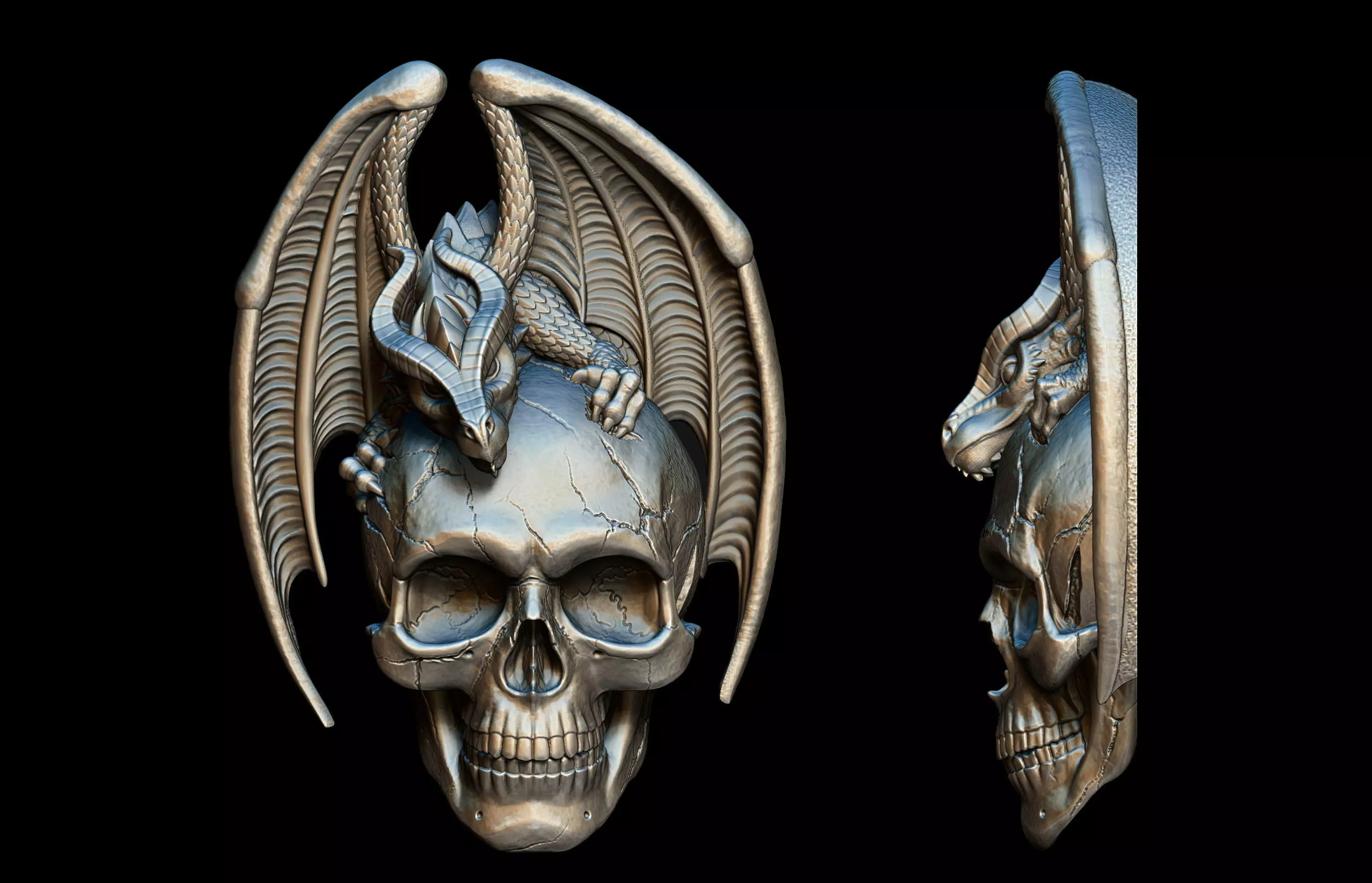 Dragon Skull Relief 3D print model_0