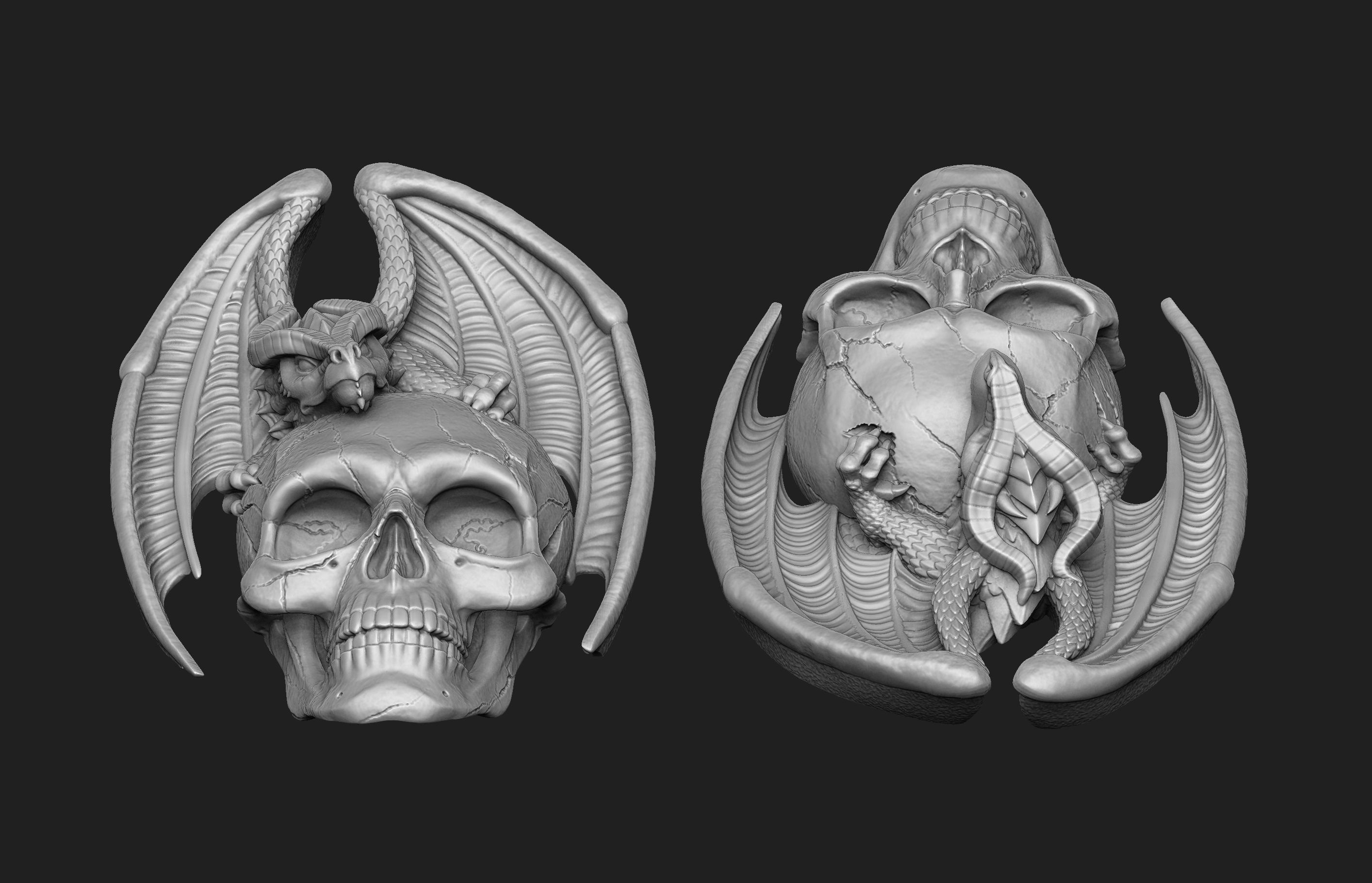 Dragon Skull Relief 3D print model_3