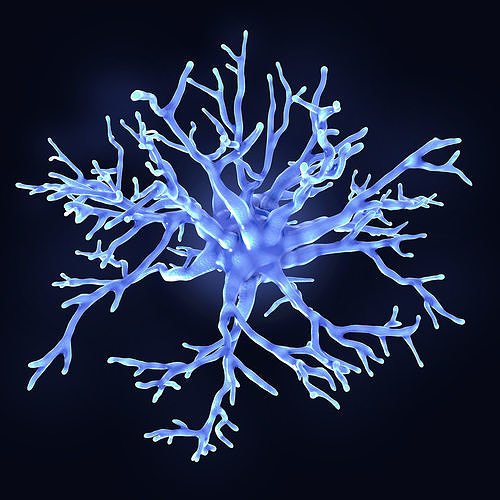 Protoplasmic astrocyte  3D model