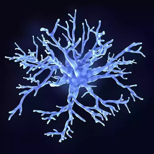 Protoplasmic astrocyte  3D model
