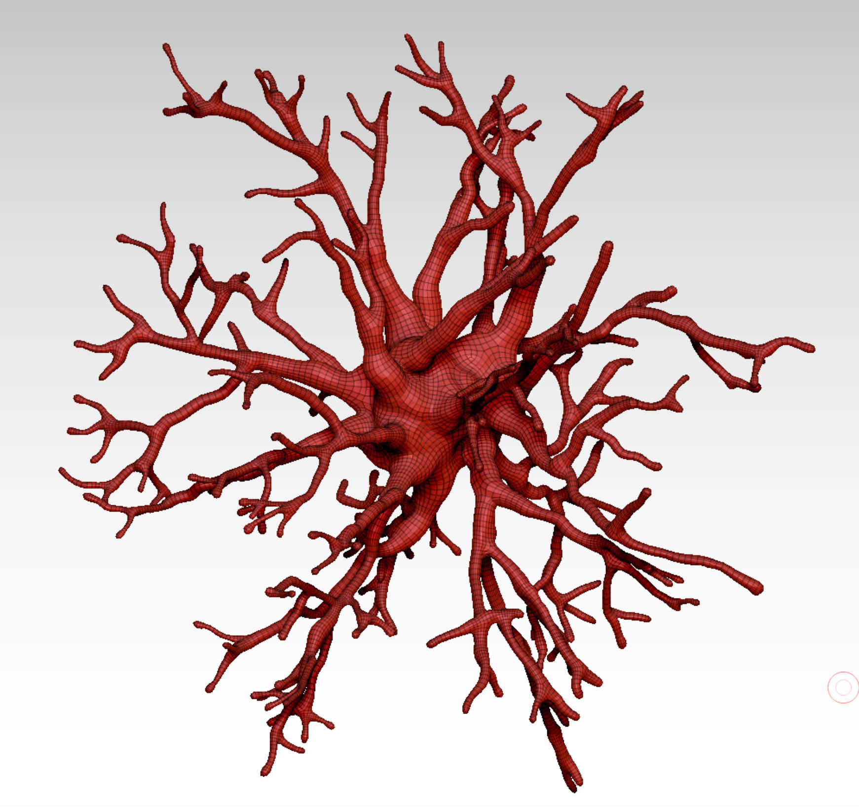 Protoplasmic astrocyte  3D model_3