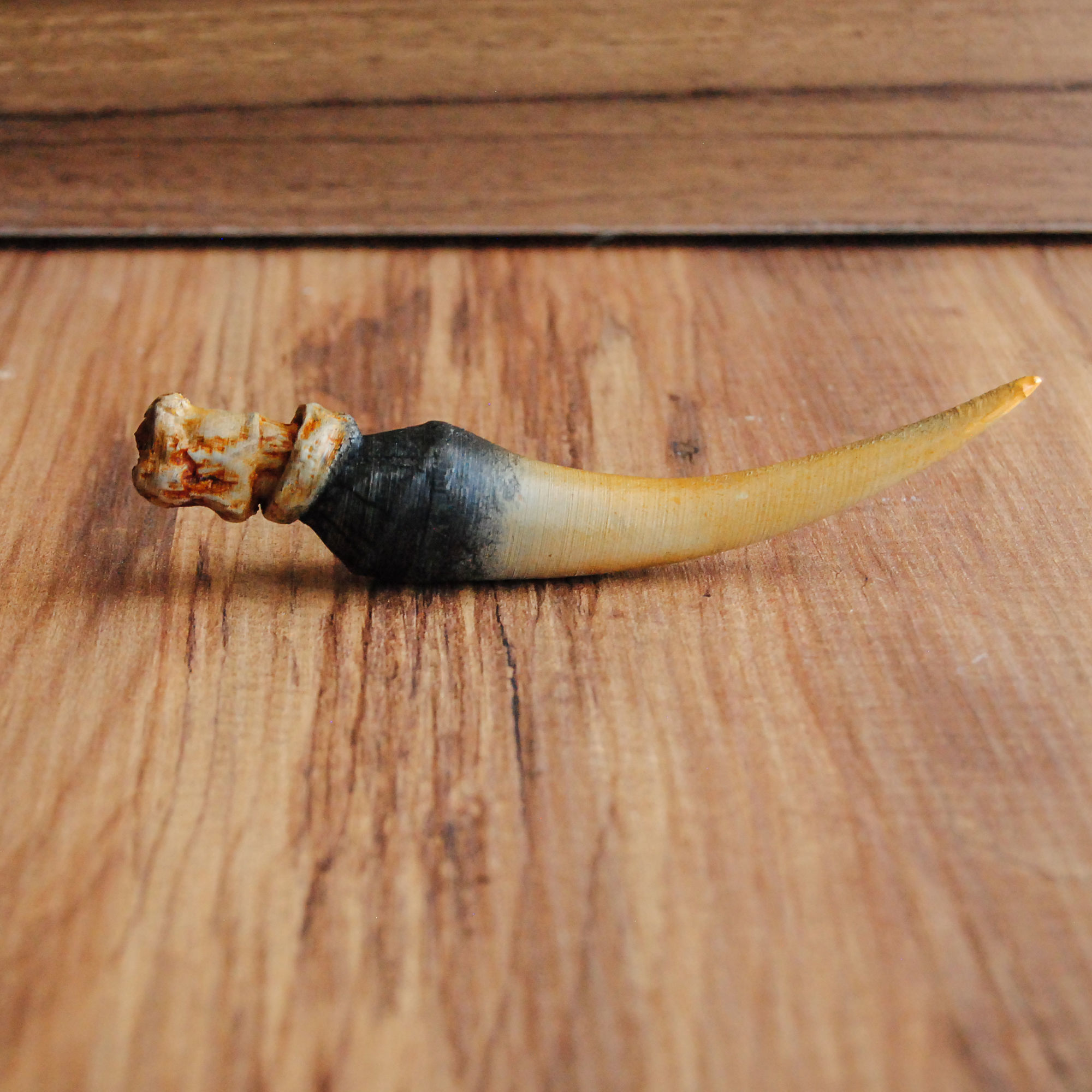 Tom Riddle Diary and The Basilisk Fang - Harry Potter 3D print model_10