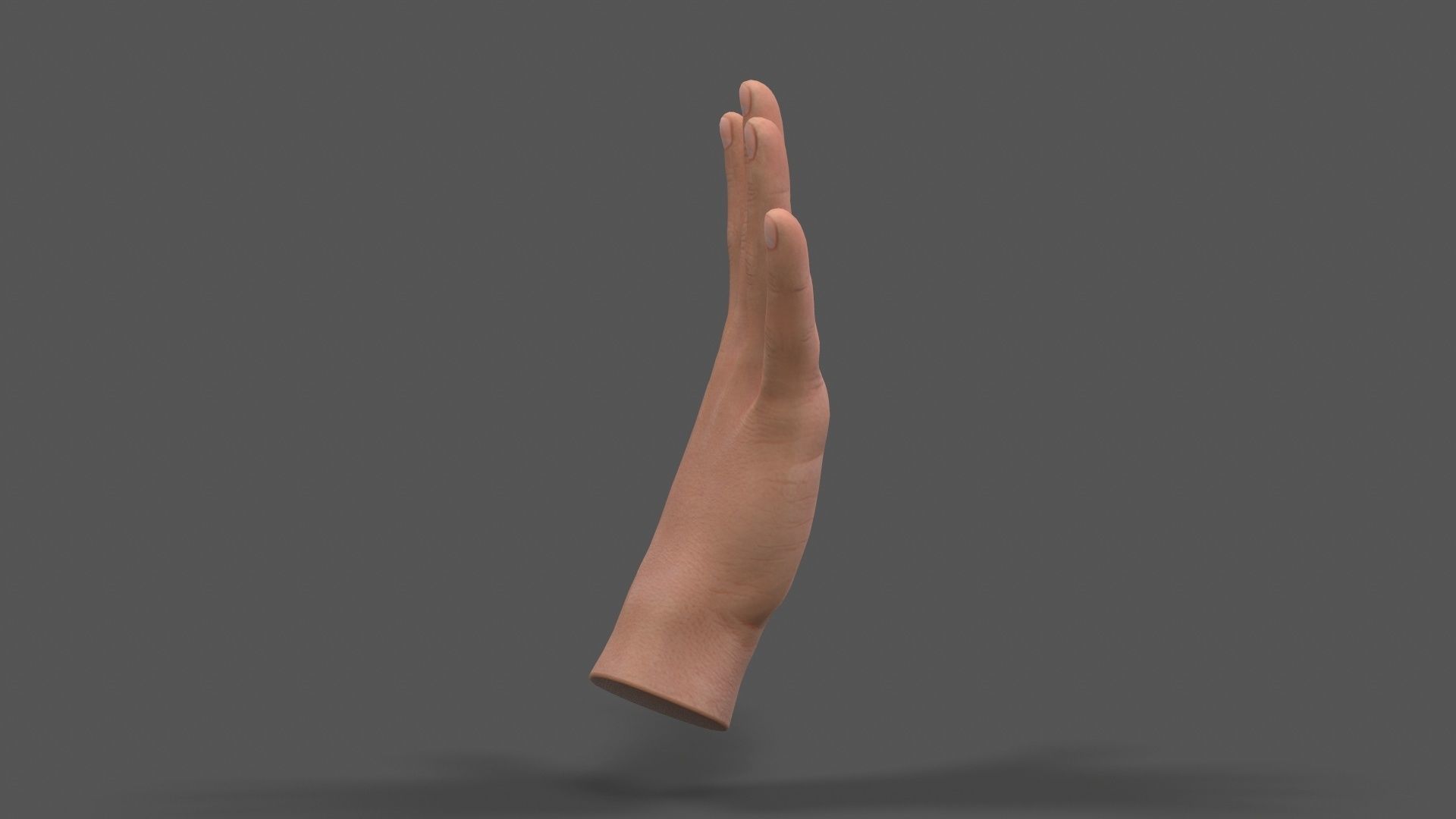 VR Hands - Male Hands Low-poly 3D model_4