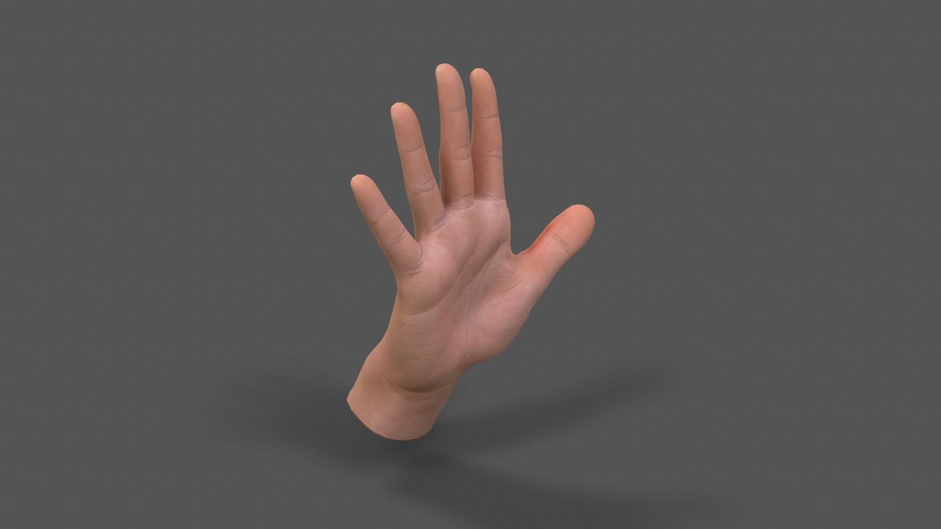 VR Hands - Male Hands Low-poly 3D model_7