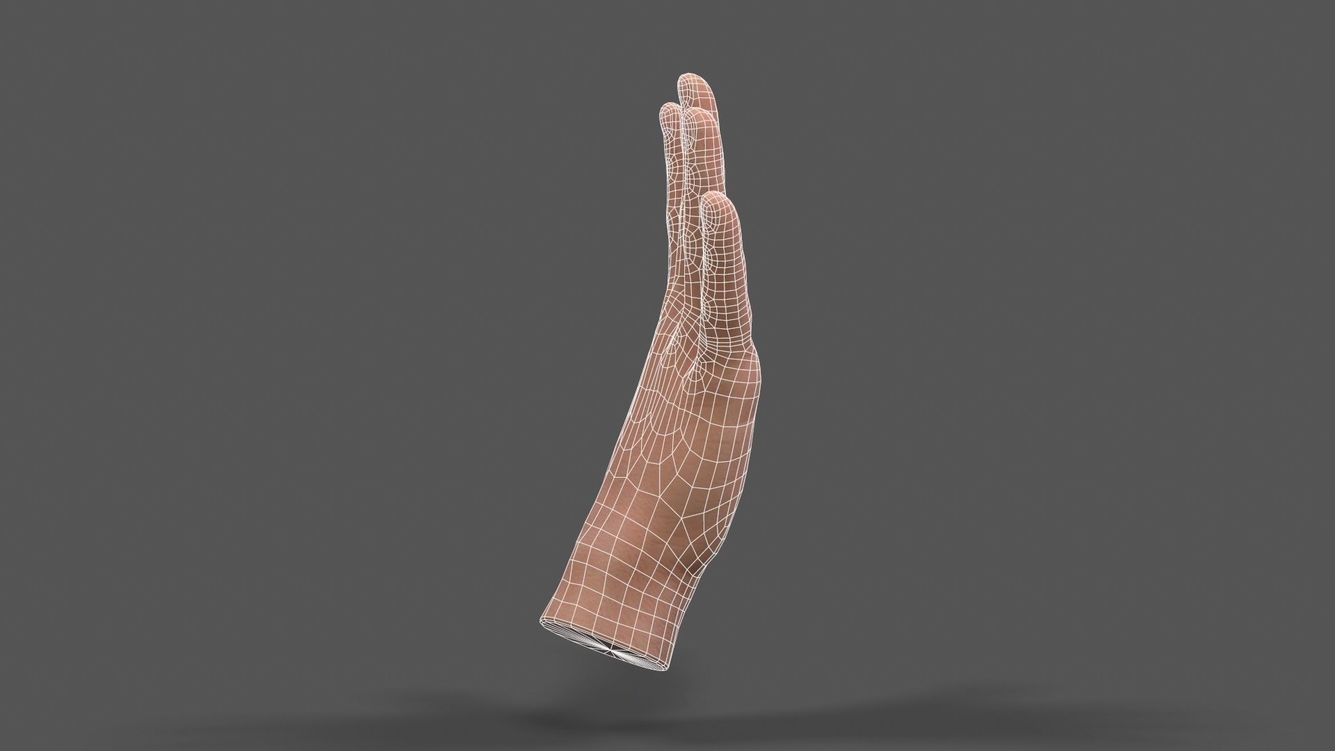 VR Hands - Male Hands Low-poly 3D model_6